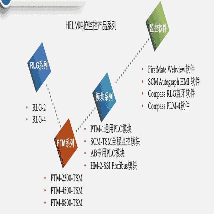 金華四通道噸位監(jiān)控儀HELM噸位監(jiān)視系統(tǒng)RLG-4
